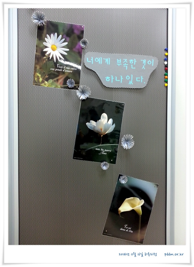 20141116_094049.jpg