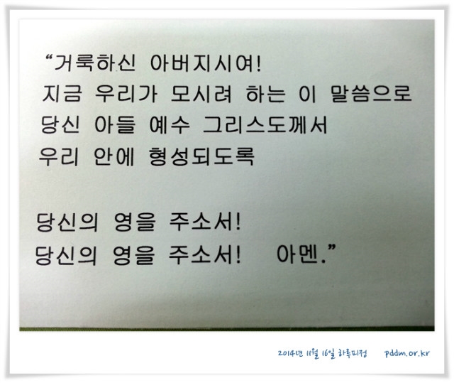 20141116_112447.jpg