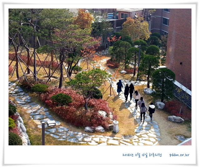 20141116_130601.jpg