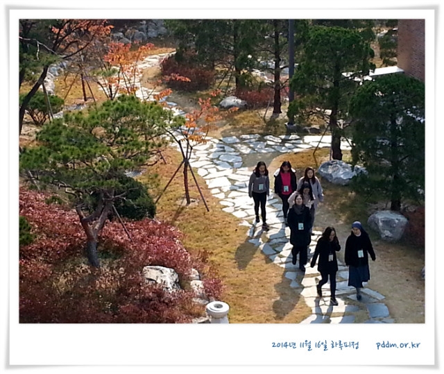 20141116_130832.jpg