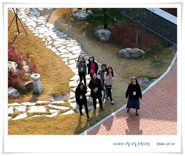 20141116_130846.jpg