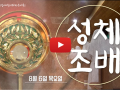 8월 '성체조배' -  평화방송 매주 목요일 8시 방영