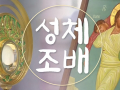 7월 성체조배(평화방송 : 월~ 토까지 아침 4:30, 밤 9:05)
