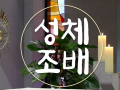 11월 성체조배(평화방송 : 월~ 토까지 아침 4:30, 저녁 5:30)
