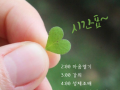 수도원 하루피정