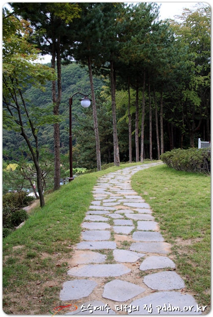 예수님 우리 산책해요~♥