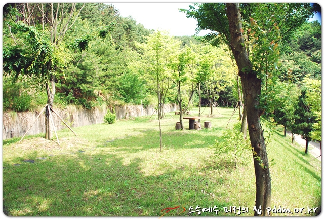 봄이 오는 풍경