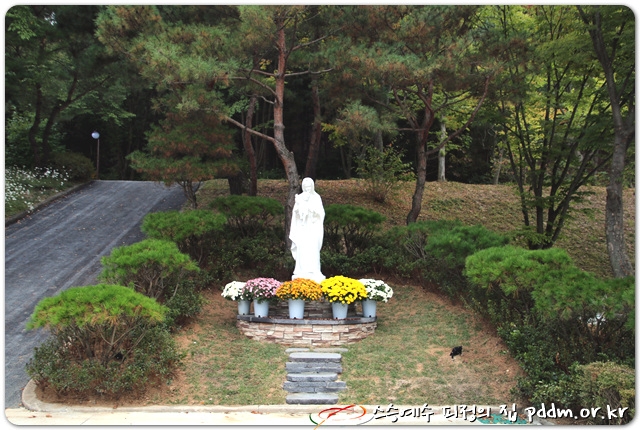 성모님, 저희 왔어요~♡