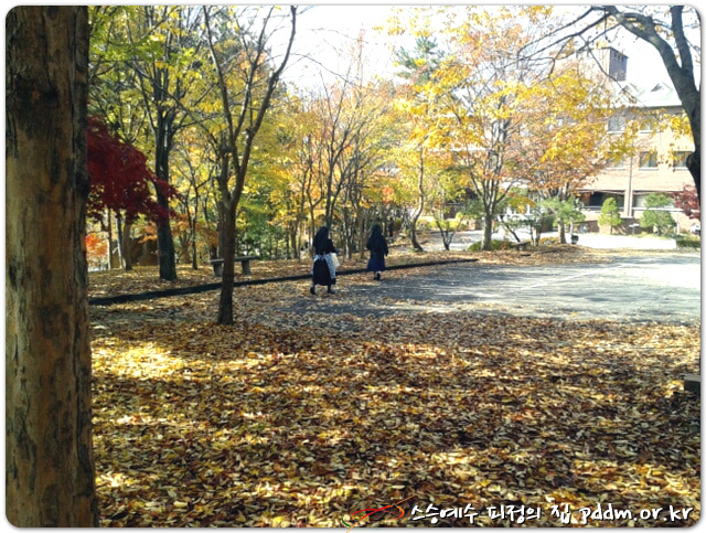 가을 풍경.... 수녀님들이 보이네요~
