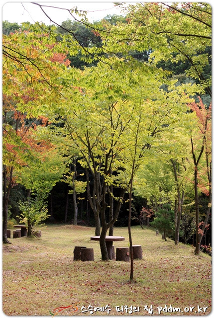 막 가을이 오려하나봐요...