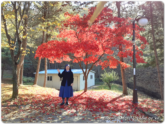 깊어진 가을의 한 컷