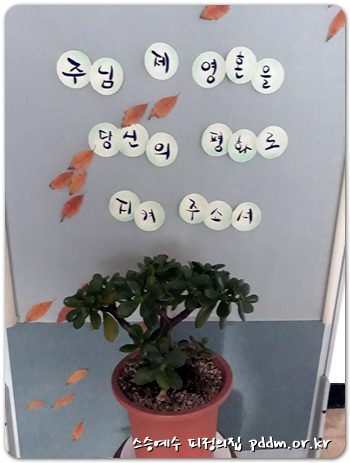 주님 제 영혼을 당신의 평화로 지켜 주소서.