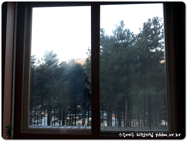 나무들도 조용히 기도 중?