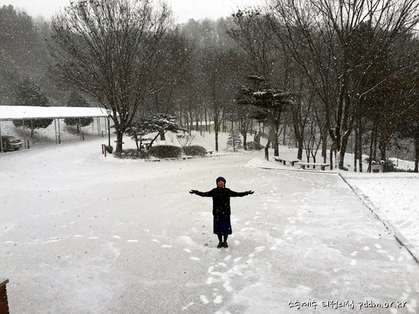 눈이 펑펑~ 오고 있어요~