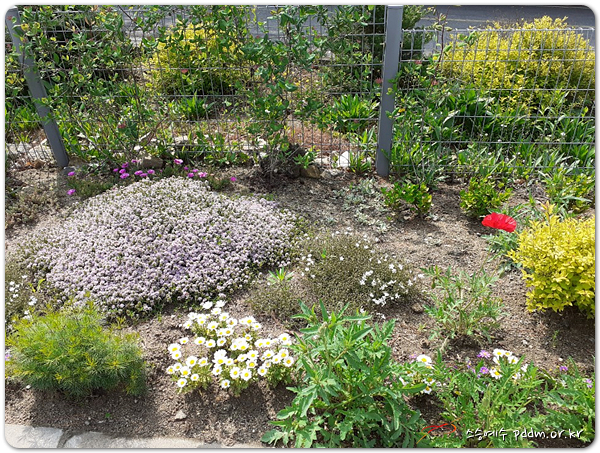 여주 피정의 집 봄소식