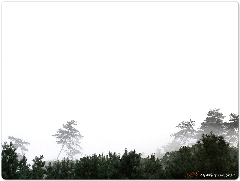 한여름 새벽 풍경