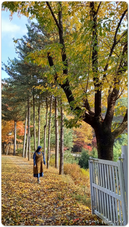 사랑에 물들인 가을