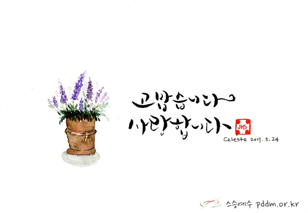 고맙습니다. 사랑합니다.