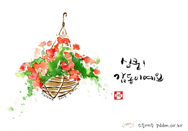 심쿵! 감동이예요.(20190517)