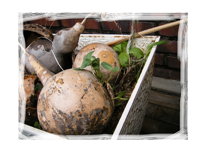 우리도 이런 모습으로...