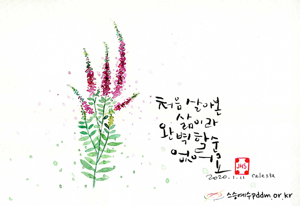 처음 살아 본 삶이라 완벽할 순 없어요.