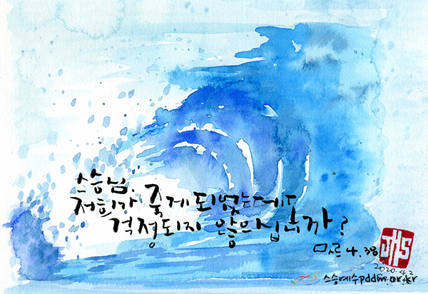 스승님, 저희가 죽게 되었는데도 걱정되지 않으십니까? (마르4,38)