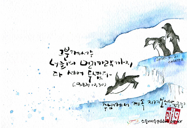 그분께서는 너희의 머리카락까지 다 세어 두셨다. (마태 10,30)