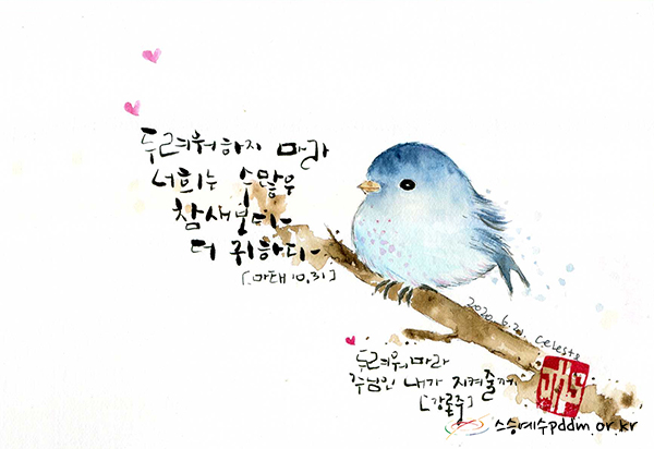 두려워 하지 마라. 너희는 수많은 참새보다 더 귀하다. (마태 10,31)