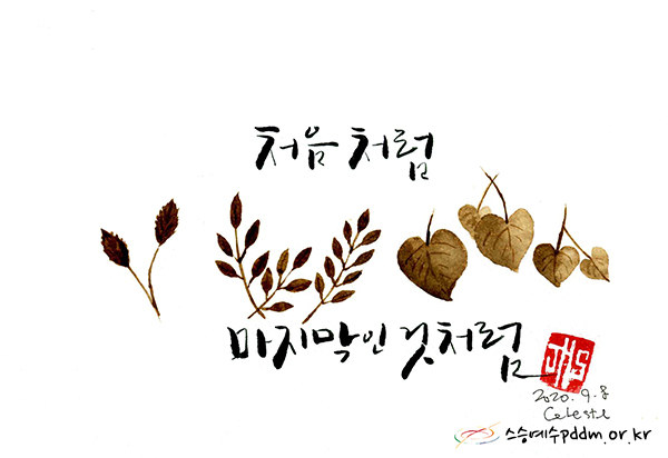 처음처럼 마지막인 것처럼