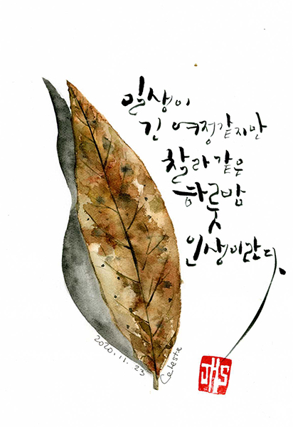 일생이 긴 여정같지만 찰라같은 하룻밤 인생이란다.