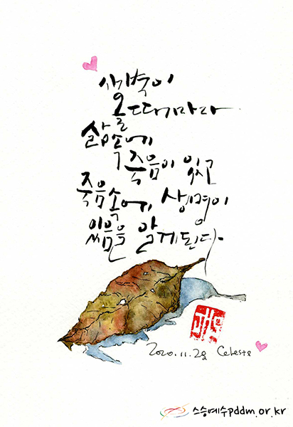 새벽이 올 때마다 삶 속에 죽음이 있고 죽음 속에 생명이 있음을 알게 된다.