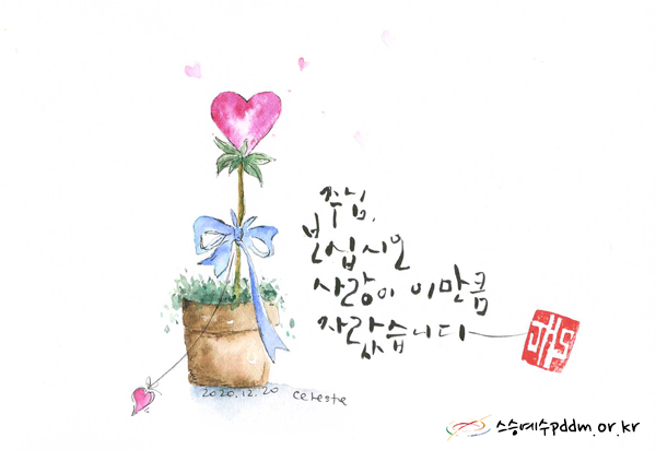 주님, 보십시오. 사랑이 이만큼 자랐습니다.