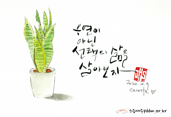 우연이 아닌 선택의 삶을 살아보자