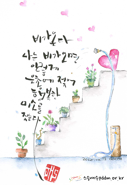 비가 온다. 비가 오면 이렇게 은총에 젖어 행복한 미소를 짓는다.