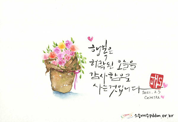 행복은 허락된 오늘을 감사함으로 사는 것입니다.